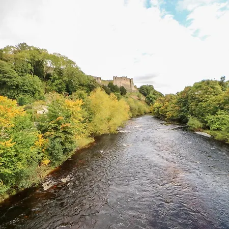 Foxglove Dom wakacyjny